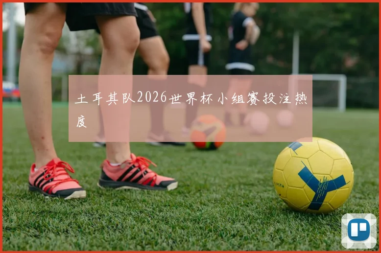 土耳其队2026世界杯小组赛投注热度